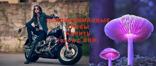 дмт Абинск