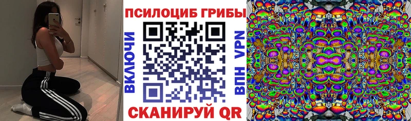 Псилоцибиновые грибы MAGIC MUSHROOMS Ростов-на-Дону
