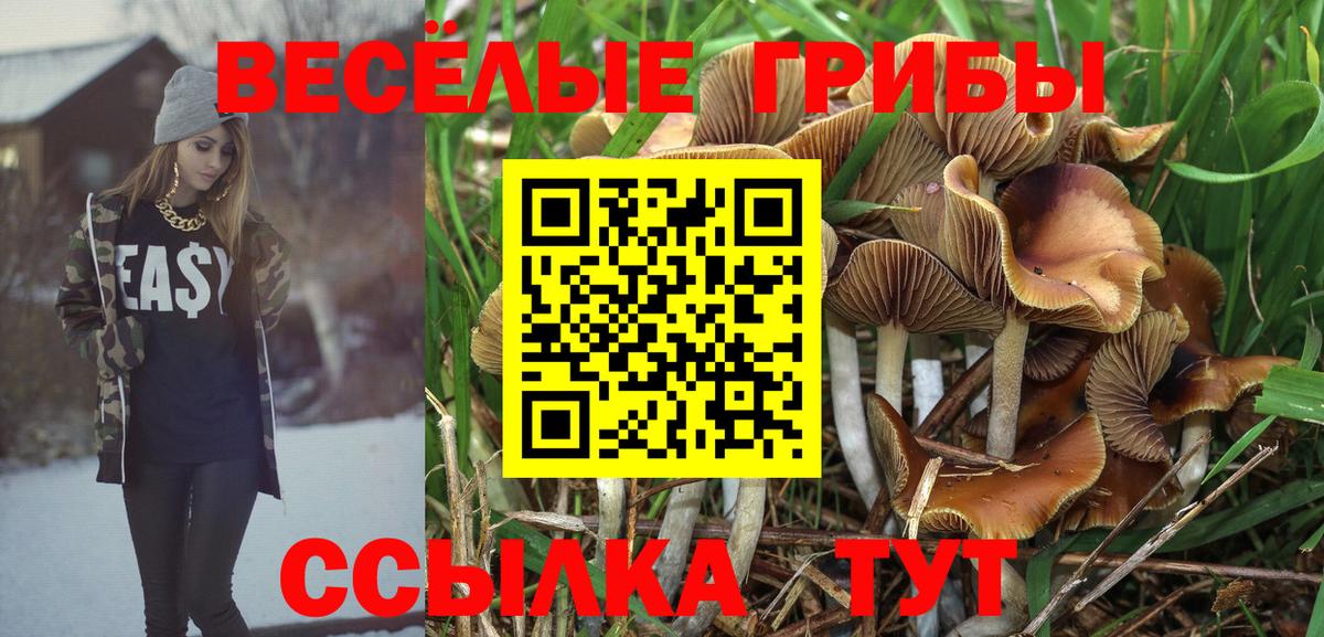 цена наркотик  Псилоцибиновые грибы GOLDEN TEACHER  Вход с VPN  Ростов-на-Дону 