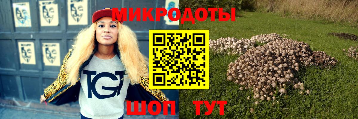 Псилоцибиновые грибы GOLDEN TEACHER Ростов-на-Дону